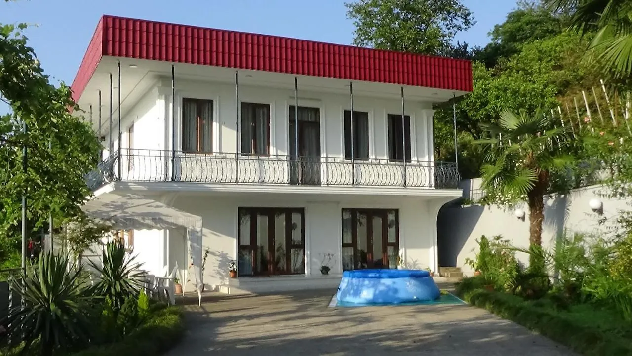 Villa Near The Batumi 0*,