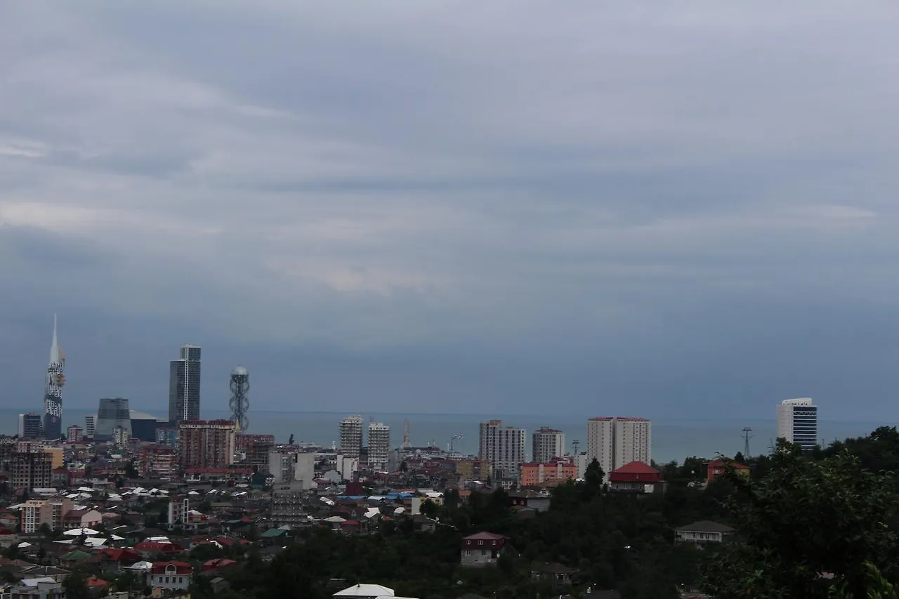 Villa Near The Batumi Holiday home